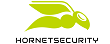 Logo Hornetsecurity